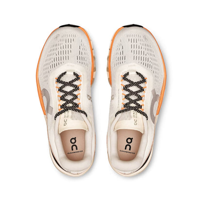 TENIS ON CLOUD Cloudmonster 2